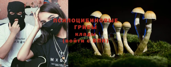 прущий лед Белоозёрский