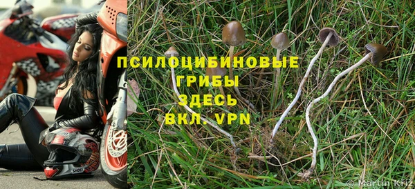 не бодяженный Беломорск