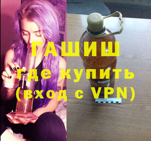 индика Инсар