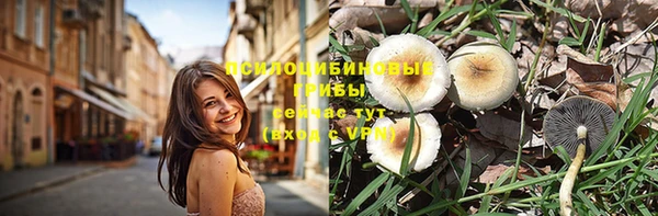 прущий лед Белоозёрский