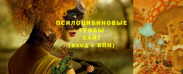 прущая мука Иннополис