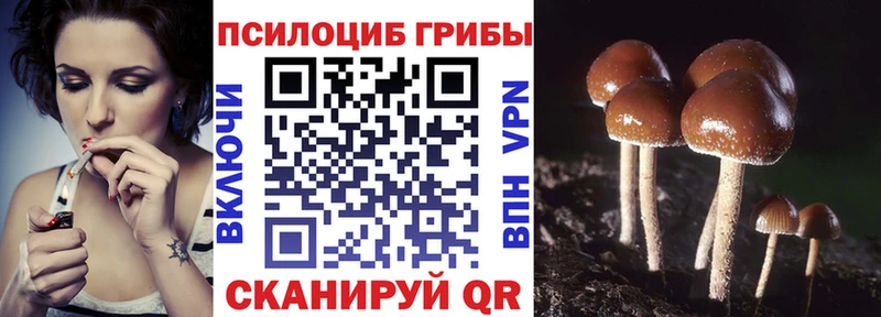 Псилоцибиновые грибы Magic Shrooms  где купить наркоту  Касли 